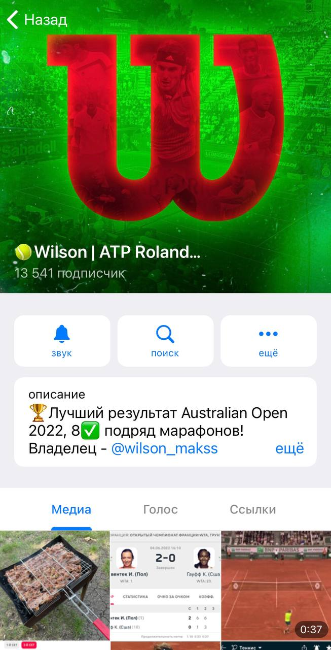 Телеграмм канал Wilson