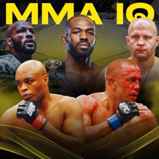 MMA IQ