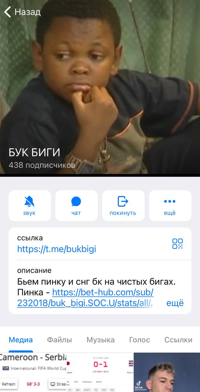 телеграм Бук Биги
