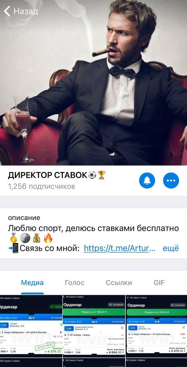 телеграм Директор Ставок