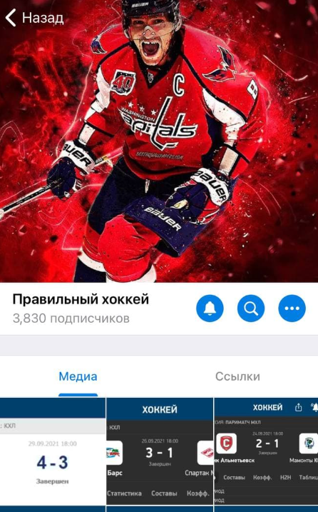 Правильный хоккей Правильный хоккей