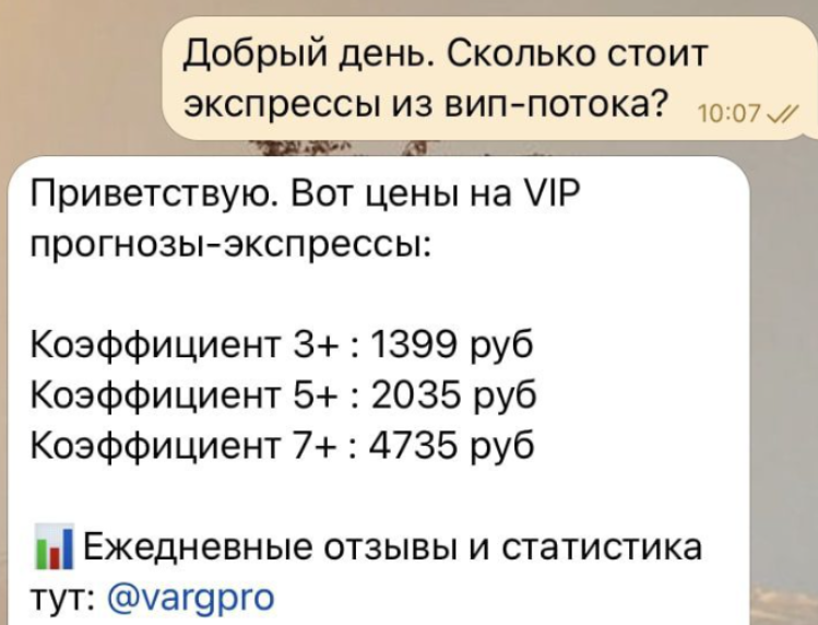 Проект Team VARG