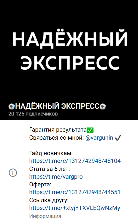 Проект Team VARG