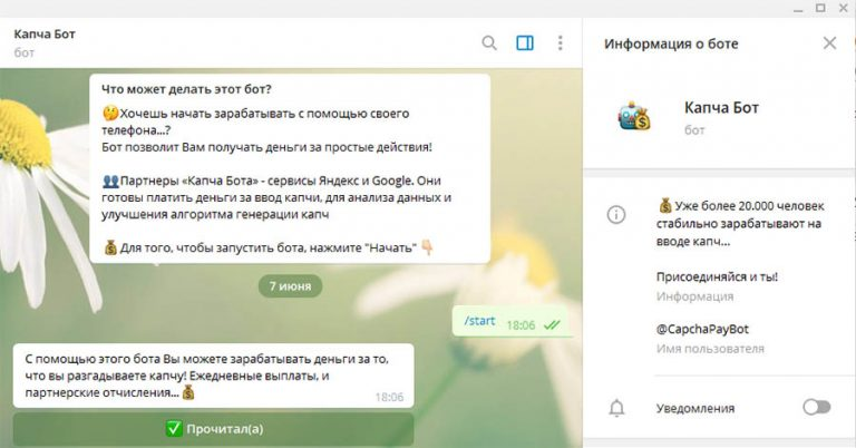 каппер Капча Бот каппер Капча Бот