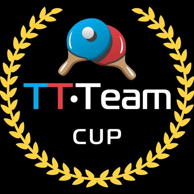 Настольный теннис TT CUP