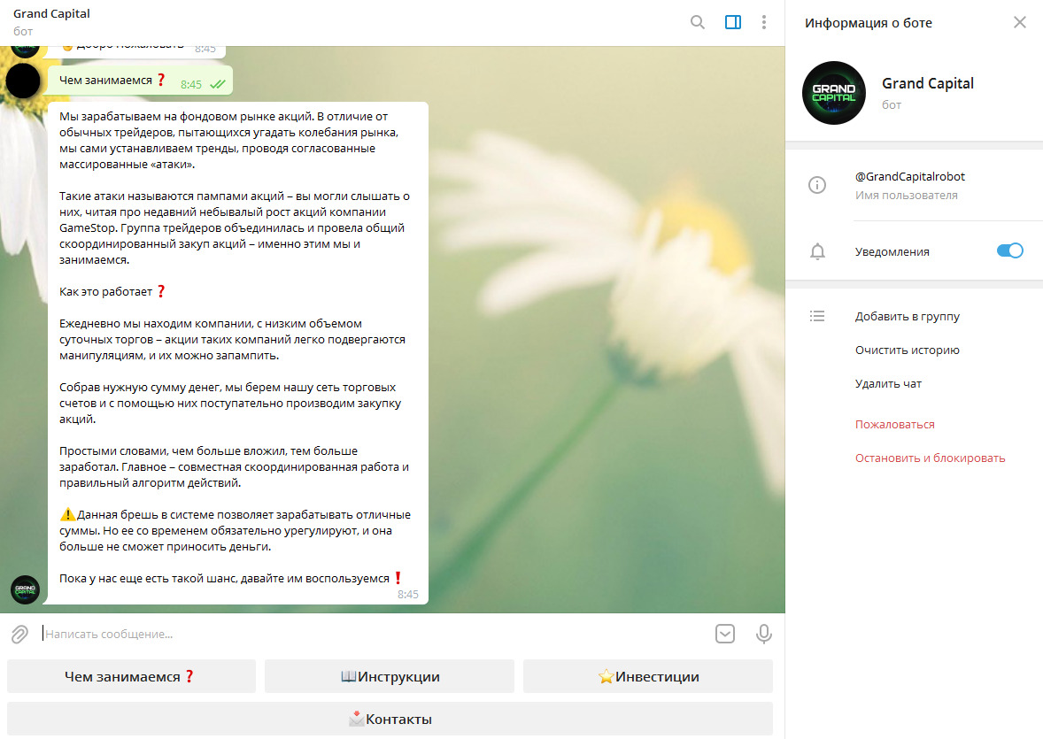 телеграмм Grand Capital телеграмм Grand Capital