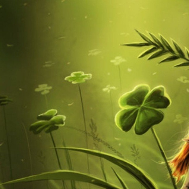 Хованец каппер