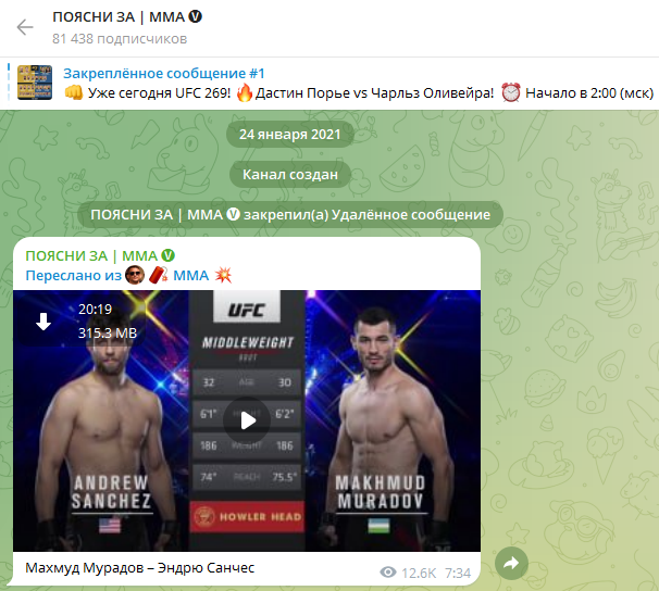 Поясни за ММА