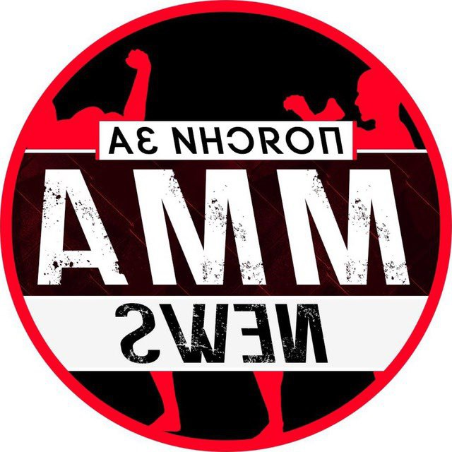 Поясни за ММА