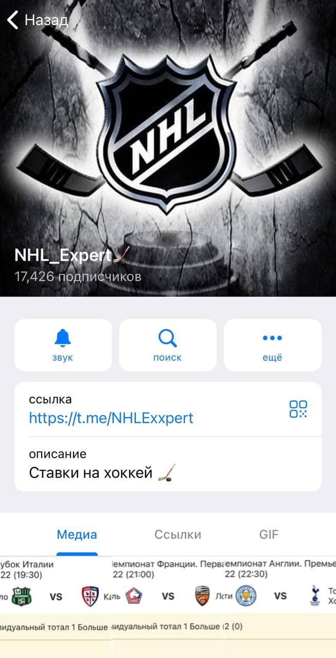 NHL Expert