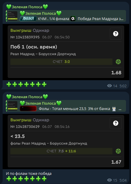 Зеленая Полоса прогнозы