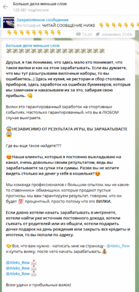 Подробное описание направленности проекта